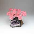 The Love Tree // Genuine Rose Quartz Tree + Amethyst Matrix // X-Large