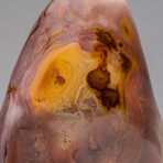 Polychrome Jasper Freeform