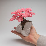 The Tree of Light // Genuine Rose Quartz Tree + Clear Quartz Matrix // X-Large