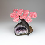 The Love Tree // Genuine Rose Quartz Tree + Amethyst Matrix // X-Large