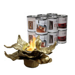 Anywhere Fireplace Heathcote // Indoor/Outdoor Fireplace + 12-Pack SunJel Fuel (Gold)