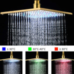 Square Shower Head // Gold // 8"