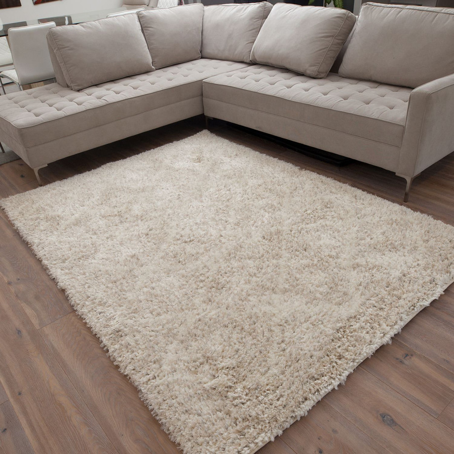ECarpet Gallery Shag Rugs Touch of Modern
