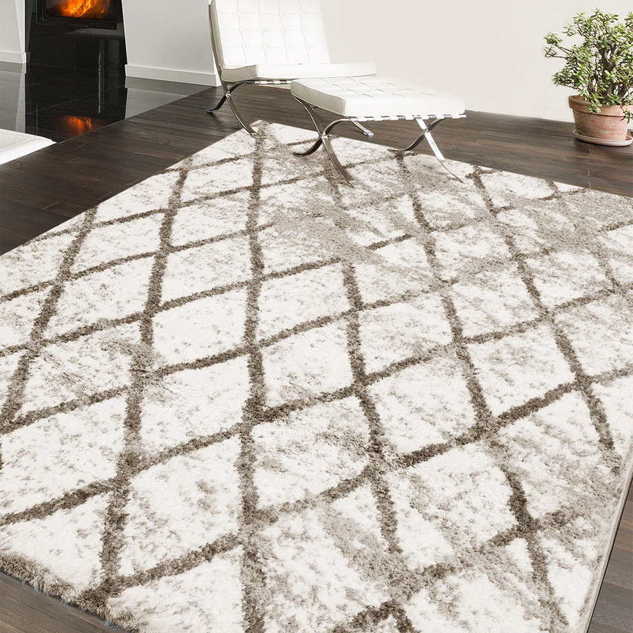 ECarpet Gallery Shag Rugs Touch of Modern
