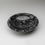Round Ammonite and Goniatite Fossil Bowl // Medium