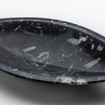 Oval Ammonite and Goniatite Fossil Bowl
