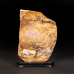 Large Agate Plate on Wooden Stand // 17.5"