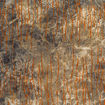 Fossil Impression Area Rug // Orange // 10' x 13'