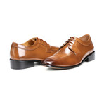 Alban Dress Shoes // Brown (US: 8)