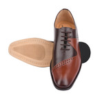 Dock Oxford // Brown + Tan (US: 10.5)