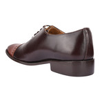 Dock Oxford // Brown + Tan (US: 10.5)