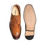 Alban Dress Shoes // Brown (US: 9)