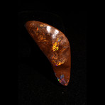 Boulder Opal // Ver. II