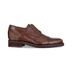Montecatini Dress Shoes // Brown (US: 8.5)