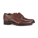 Montecatini Dress Shoes // Brown (US: 9.5)