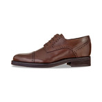 Montecatini Dress Shoes // Brown (US: 10.5)