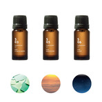 Supplement Air' Essential Oils // Set of 3