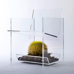Cactus Armchair + Multi-Purpose Sub-Seat Terrarium