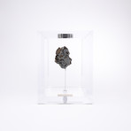 Space Box // Seymchan Meteorite from Magadanskaya Oblast, Russia // Small