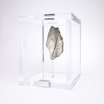 Space Box // Seymchan Meteorite from Magadanskaya Oblast, Russia // Large