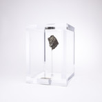 Space Box // Sikhote Alin Meteorite from Siberia, Russia // Medium