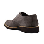 Amphion Suede Shoes // Taupe (Euro: 45)