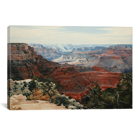Grand Canyon In Midday Sun // Nick Savides (18"W x 12"H x 0.75"D)