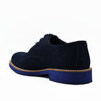 Mirza Suede Shoes // Dark Blue (Euro: 46)