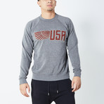 Wing USA Sweater // Gray (L)