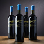 Garage Wine Co. Chilean Cabernet Sauvignons // Set of 4