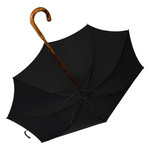 Scorched Maple Umbrella + Case // Black