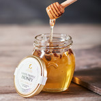 White Truffle Honey with Dipper // 240g