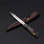 The Suzaku Damascus Fixed Blade