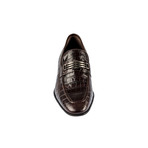 Dion Classic Shoes // Brown (Euro: 39)
