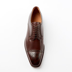Como Dress Shoe // Medium Brown (US: 9)