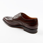Londra Dress Shoe // Medium Brown (US: 8EE)