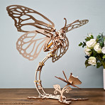 Butterfly + Antique Box