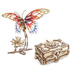 Butterfly + Antique Box