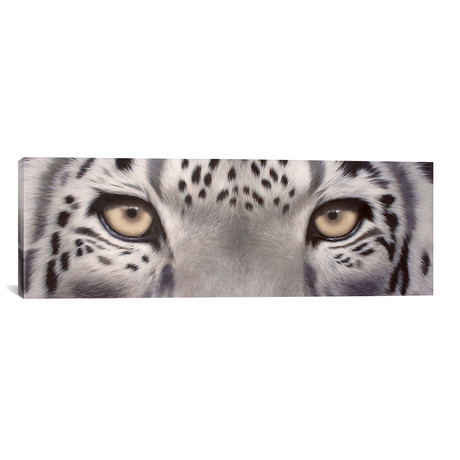 Snow Leopard Eyes // Rachel Stribbling