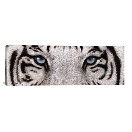 White Tiger Eyes // Rachel Stribbling