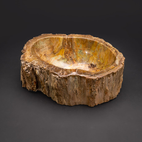 Large // Petrified Wood Bowl
