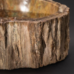 Large // Petrified Wood Bowl