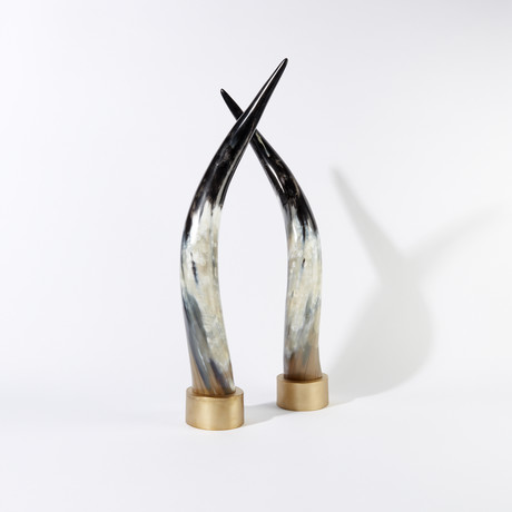 Dark // Ankole Decorative Horn Set // Large (Without Stand)