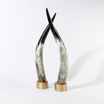 Dark // Ankole Decorative Horn Set // Large (Without Stand)