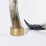 Dark // Ankole Decorative Horn Set // Large (Without Stand)