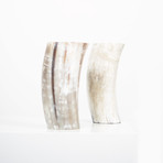 Light // Ankole Horn Vase (Medium)