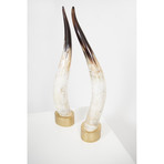 Light // Ankole Decorative Horn Set // Medium (Without Stand)