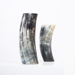 Dark // Ankole Horn Vase (Medium)