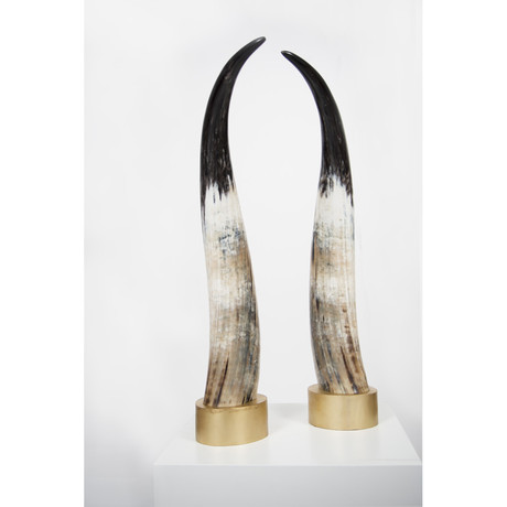 Light // Ankole Decorative Horn Set // Large (Without Stand)