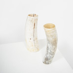 Light // Ankole Horn Vase (Medium)